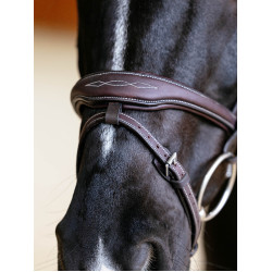 Bridon LeMieux Flash Contour Kudos Bruin