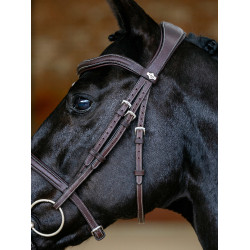 Bridon LeMieux Flash Contour Kudos Bruin
