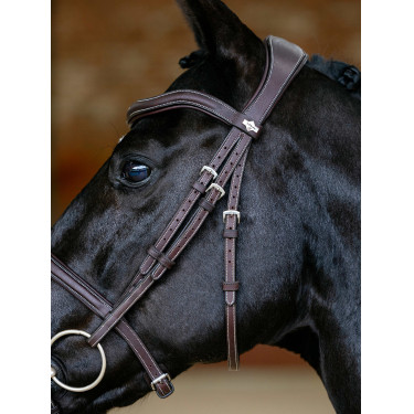 Bridon LeMieux Flash Contour Kudos Bruin
