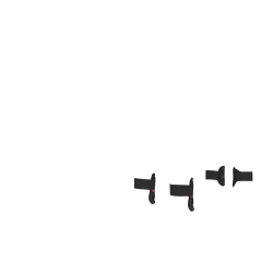 Guêtres Capella LeMieux Toy Pony Zwart Guêtres Capella LeMieux Toy Pony Zwart