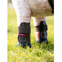 Guêtres Capella LeMieux Toy Pony Bruin