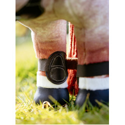 Guêtres Capella LeMieux Toy Pony Bruin