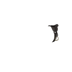 Selle de CSO avec sangle bavette LeMieux Toy Pony Bruin Selle de CSO avec sangle bavette LeMieux Toy Pony Bruin