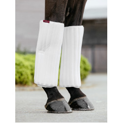 Sous-bandes LeMieux à mémoire de forme Wit