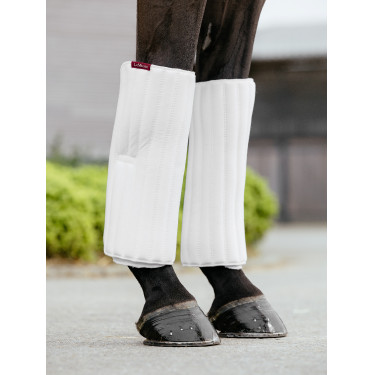 Sous-bandes LeMieux à mémoire de forme Wit