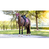 Tapis de dressage LeMieux Essence Square Rozenhout