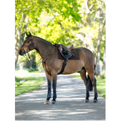 Tapis de selle Pillow LeMieux Bruin