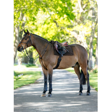 Tapis de selle Pillow LeMieux Bruin