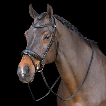 Hoofdstel met Engelse neusriem Imperial Riding Zwart / zwart Hoofdstel met Engelse neusriem Imperial Riding Zwart / zwart
