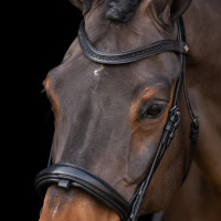 Hoofdstel met Engelse neusriem Imperial Riding Zwart / zwart Hoofdstel met Engelse neusriem Imperial Riding Zwart / zwart