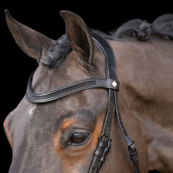 Hoofdstel met Engelse neusriem Imperial Riding Zwart / zwart Hoofdstel met Engelse neusriem Imperial Riding Zwart / zwart