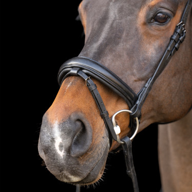 Hoofdstel met Engelse neusriem Imperial Riding Zwart / zwart Hoofdstel met Engelse neusriem Imperial Riding Zwart / zwart