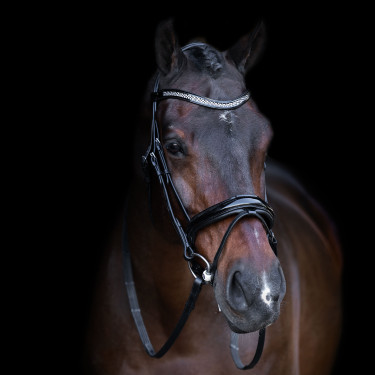 Hoofdstel met Engelse neusriem Imperial Riding Zwart / kristal