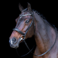 Hoofdstel met Engelse neusriem Imperial Riding Zwart / kristal Hoofdstel met Engelse neusriem Imperial Riding Zwart / kristal