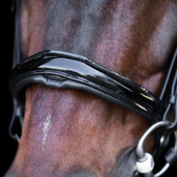 Hoofdstel met Engelse neusriem Imperial Riding Zwart / kristal