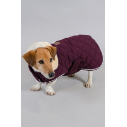 Hondenjas Harcour Rocket Viool Violet