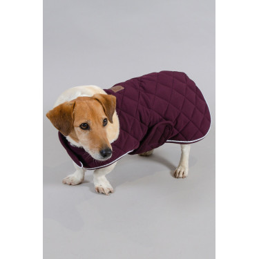 Hondenjas Harcour Rocket Viool Violet