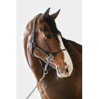 Halter Harcour Honey Donkergrijs