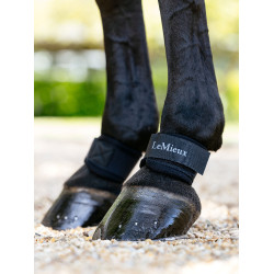 LeMieux neopreen kogelbeschermers Zwart