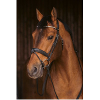 Bridon Pénélope Daily Strass SR Zwart