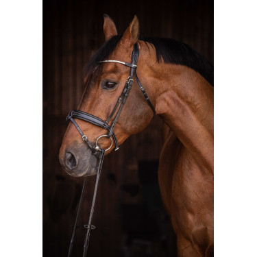 Bridon Pénélope Daily Strass SR Zwart