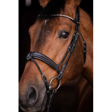 Bridon Pénélope Daily Strass SR Zwart