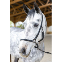 ProConfort Dialou verzorgingshalster Zwart