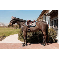 Kentucky Zadeldek Pied-de-Poule Bordeaux