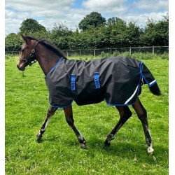 Horseware Amigo Ripstop 900D Petite Turnout 200g deken Zwart / klassiek blauw