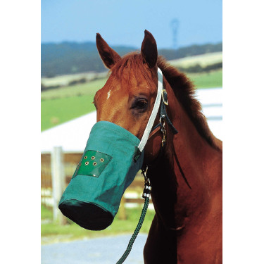 Musette canvas Musette canvas