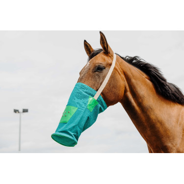 Musette canvas Musette canvas