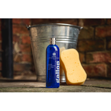 Shampoo Gallop® Carr & Day & Martin Cinza