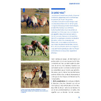 Gedrag en houdingen Gedrag en houdingen