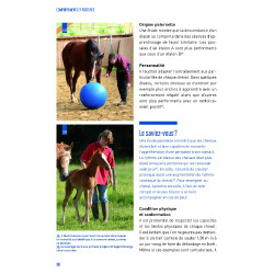 Gedrag en houdingen Gedrag en houdingen