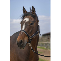 Halster Equithème Nylon light Halster Equithème Nylon light