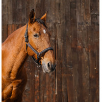 Nylon halster Equithème Domino Koper Bruin