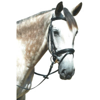 Bridon Pull Back Le Touquet... Bridon Pull Back Le Touquet...