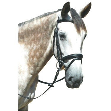 Bridon Pull Back Le Touquet Privilege Equitatie Bridon Pull Back Le Touquet Privilege Equitatie