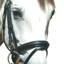 Bridon Pull Back Le Touquet Privilege Equitatie