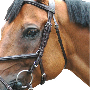 Bridon Royan Gekruist Privilege Ruitersport