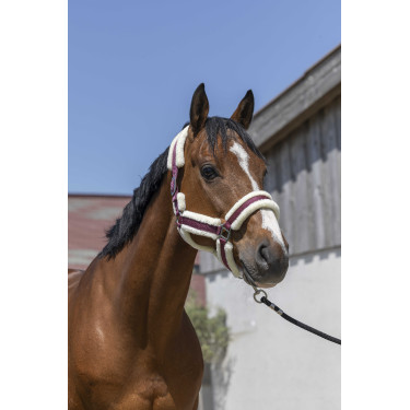 Halster Norton Cosy Bordeaux