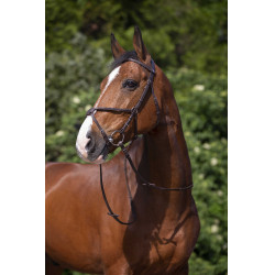 Bridon Riding World Kruisneusriem Bridon Riding World Kruisneusriem