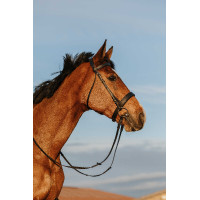 Bridon Riding World Neusriem breed Zwart Bridon Riding World Neusriem breed Zwart