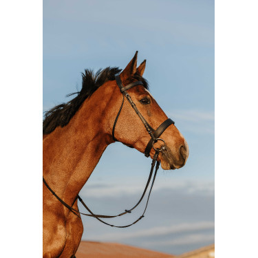 Bridon Riding World Neusriem breed