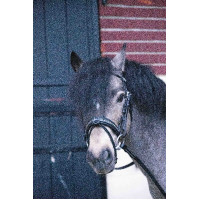 Bridon Pénélope Eden Havana Bruin Bridon Pénélope Eden Havana Bruin