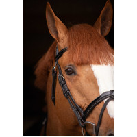 Birdon Oxford Prestatie Pénélope Zwart Birdon Oxford Prestatie Pénélope Zwart