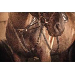 Teugels Pénélope Howlett leer Zwart