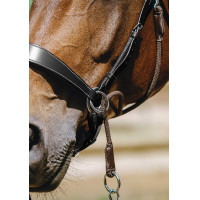 Bridon Bitloos Norton Havana Bruin Bridon Bitloos Norton Havana Bruin