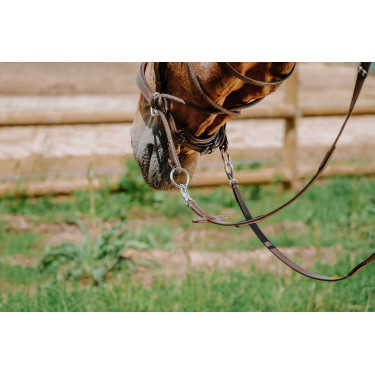 Bridon Bitloos Norton Havana Bruin