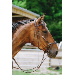 Bridon Bitloos Norton Havana Bruin